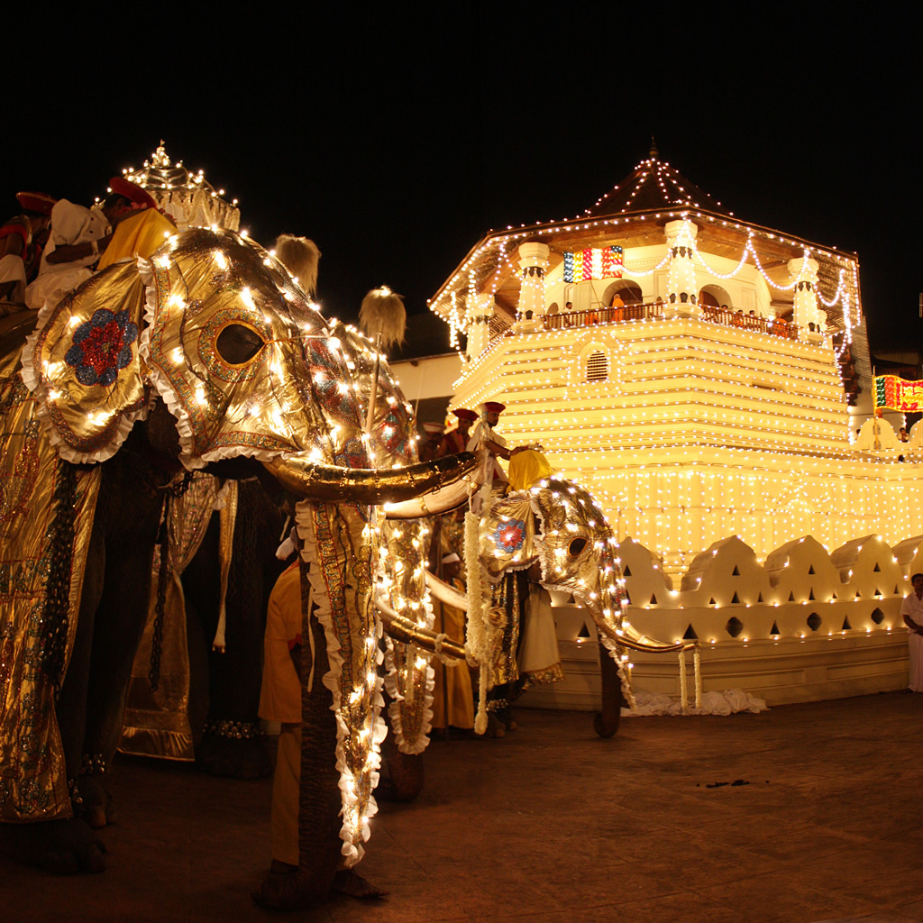 Kandy Esala Perahera