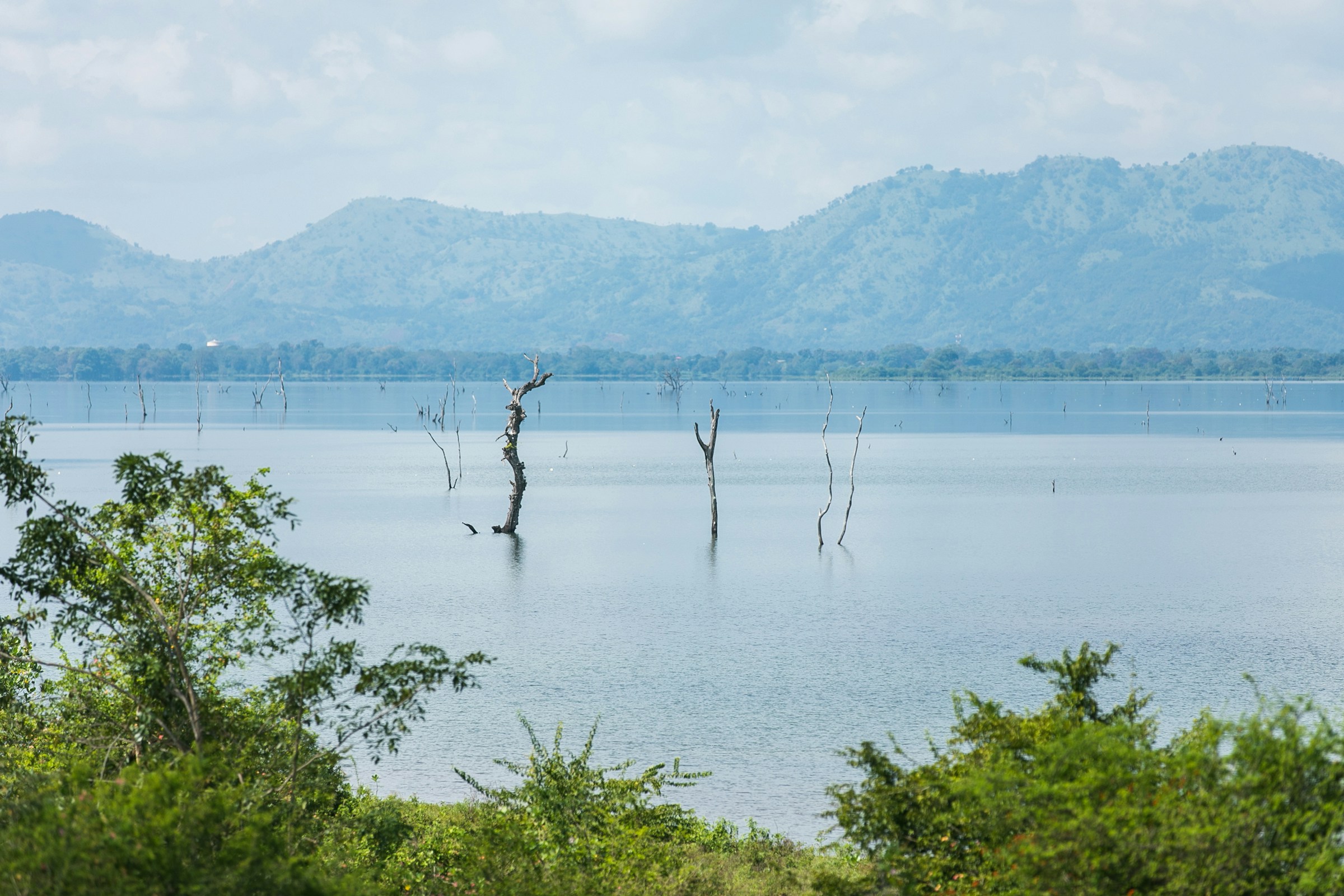 Udawalawe National Park