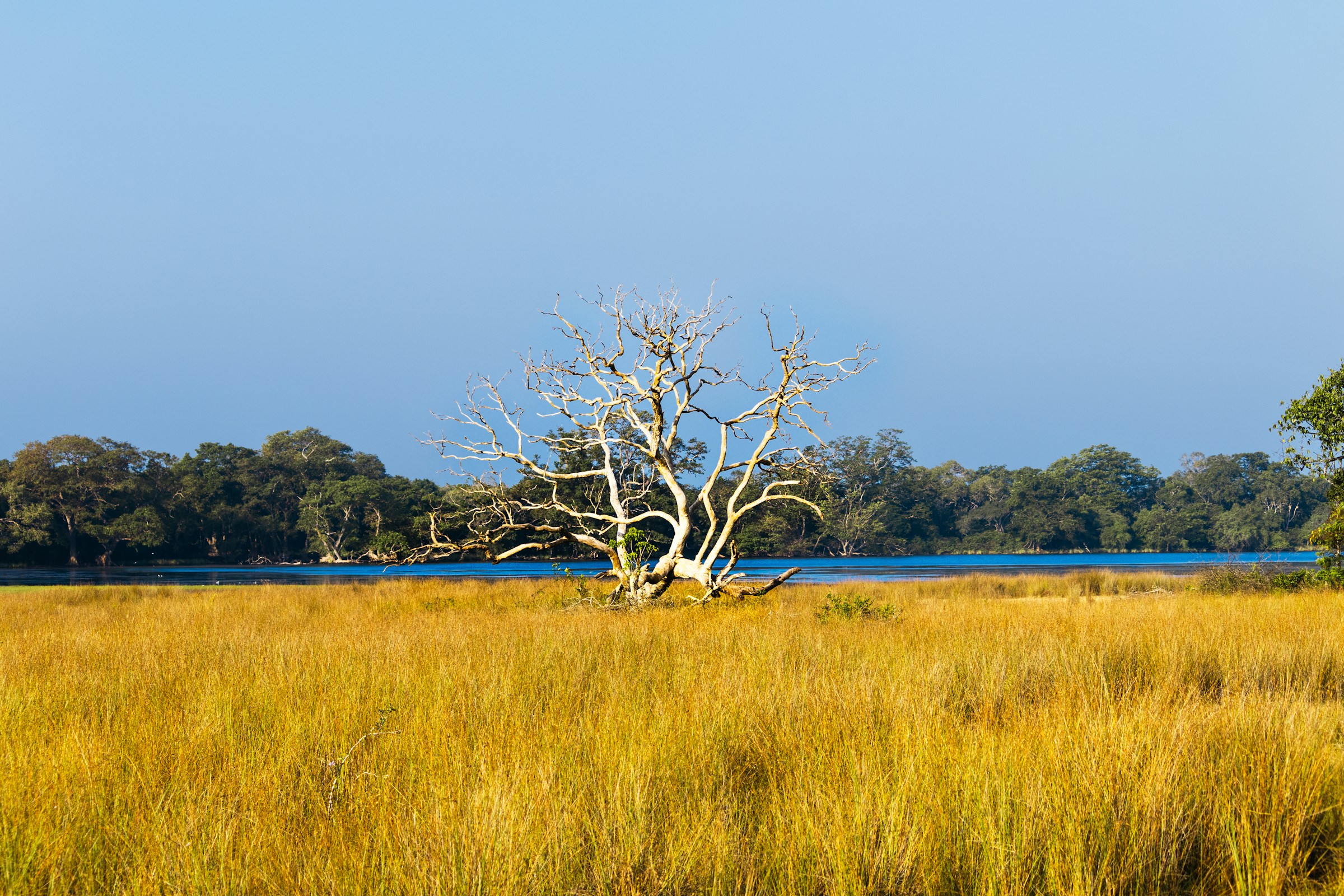 Wilpattu National Park